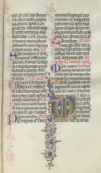 Missale: Fol. 260: Løvverk med frukt, 1469