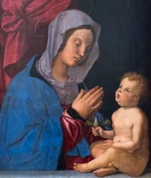Madonna og barn, ca. 1503 (olje på trepanel)