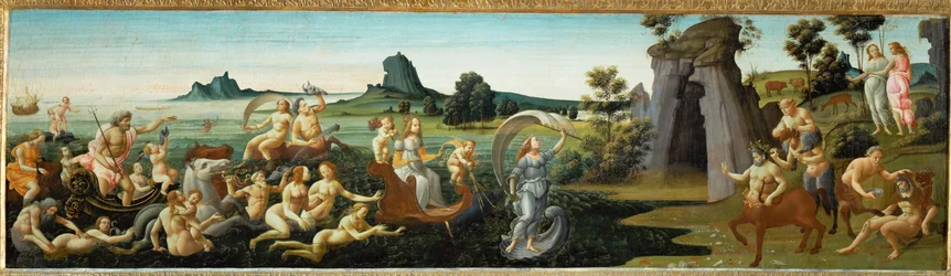 Thetis#39; tilhengere under bryllupsprosesjonen hennes …
