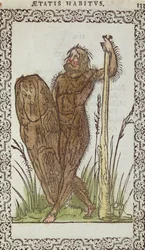 The Wild Man, illustrasjon fra The Habits and Portraits of Nearly All Nations and Contemporary Nations av Jean Sluperji, Antwerpen, 1572 (fargetresnitt)