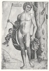 Mann med en pil, ca. 1515.