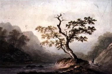 Landskap med elv og fjell
