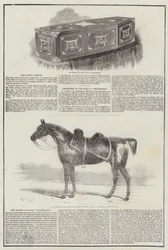 hertugen av Wellington