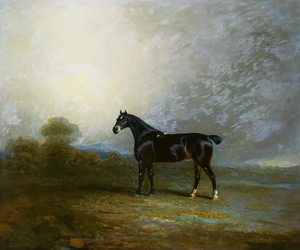 Bembo, en favorittjeger av Charles Shuttleworth, Esq., 1802