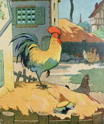 Hanen, illustrasjon fra «Le Buffon de Benjamin Rabier», bearbeidet etter Georges de Buffons «Histoire Naturelle» (1707-88)