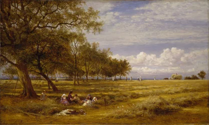 En engelsk Hayfield, 1878.