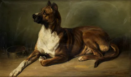 Benno Adam Portrett av en hund 1852