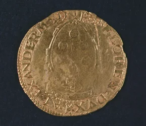 Gyldent skjold