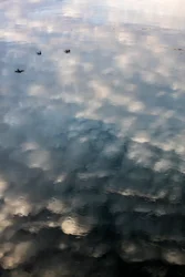 Refleksjoner av skyer og fugler på overflaten av Garonne-elven i Toulouse, Haute-Garonne (bilde)