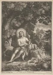 St. John i villmarken