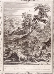 Actaeon forvandlet til en hjort og fortært av sine hunder, 1731