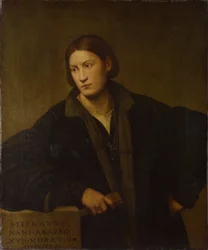 Portrett av Stefano Nani, 1528