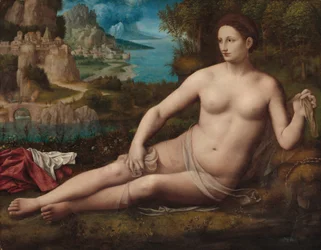 Venus, ca. 1530 (olje på panel)