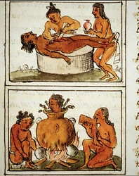 Menneskeofring og kannibalisme hos aztekerne. Manuskript av Bernardino Sahagún