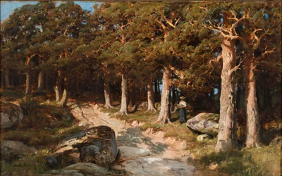 Kvinne i skogen