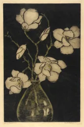 Vårblomster (Tremagnolia)