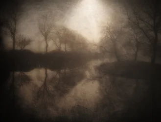 Refleksjon i den tåkete skogen