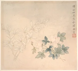 Blomsterstudie