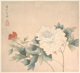 Blomsterstudie