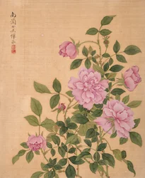 Rose fra blomsteralbum (blekk og farge på silke)