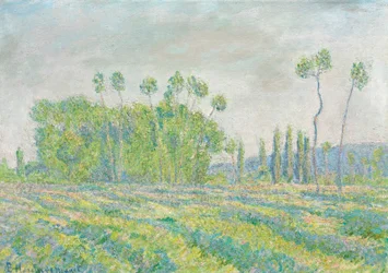 Giverny, poplene i Ajoux