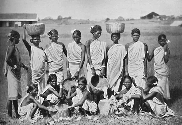 En gruppe Kol-jenter, 1902