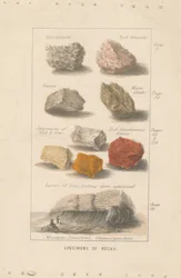 Eksemplarer av bergarter. Bevis på en illustrasjon for Wrights 'Globe Prepared for Man'.