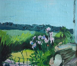 Iris i hagen
