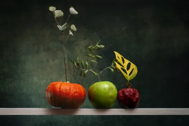 Høstarrangement med frukt