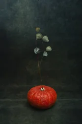 Stemningsfull gresskar-eukalyptus