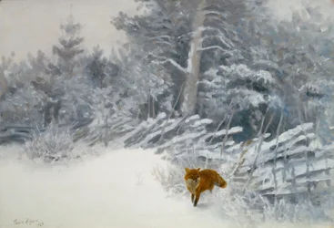 En rev i vinterskogen