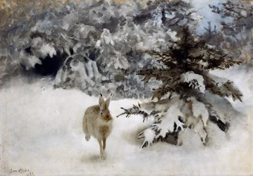 En hare i snøen