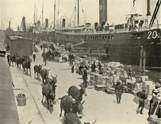 Troppeskip ved Port Tampa, Florida, USA, spansk-amerikansk krig, 10. juni 1898, 1899.