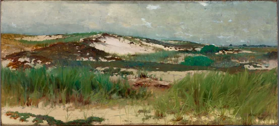 Nantucket sanddyne