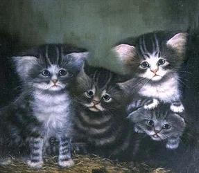 Fire kattunger