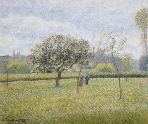 Epletre i blomst på Eragny; Pommier en Fleur a Eragny, 1888