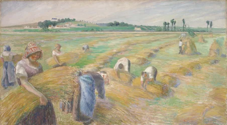 Innhøsting