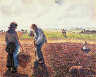 Bønder i marken, Eragny