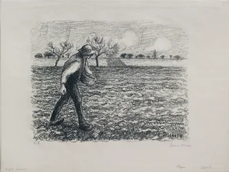 Såmann, 1896