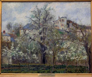 Kjøkkenhage og blomstrende trær om våren i Pontoise, blomstrende plommetrær, 1877, mål 0,65 x 0,81 m, Paris, Musée d