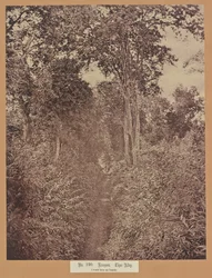Nr. 120. Rangoon. Tigergaten
