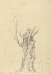 I Lord Yarborough's Park, Appuldurcombe, Isle of Wight