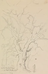 På Newport Road, 12. februar 1826