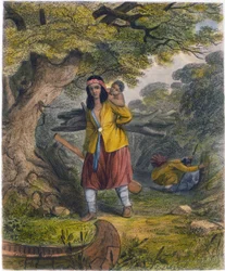 Indianske kvinner som skaffer brensel, 1853
