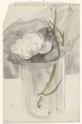 Hvit blomst i et glass