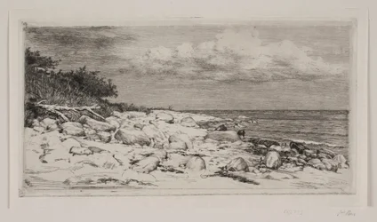 Stony Strandbred