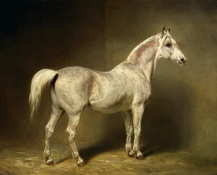 «Beatrice», Helmuth Graf von Moltkes hvite arabiske ridehest, 1855
