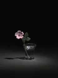 Wild Rose, slutten av 1800-tallet-begynnelsen av 1900-tallet