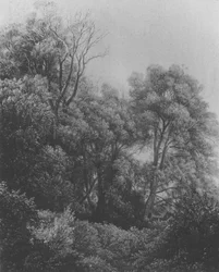 Pillnitz på Elbe-øya Carl Gustav Carus 1840