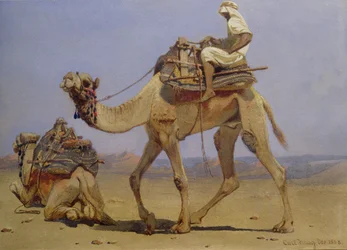 Kamel som forbereder seg på å legge seg ned, 1858